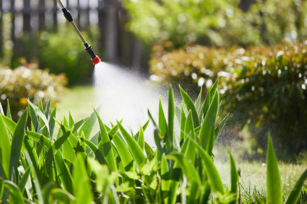 24/7 Emergency Termite Control experts in Ladera Ranch, CA