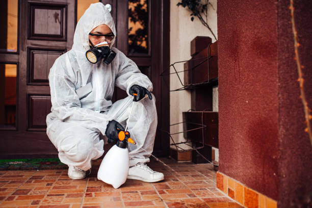 Reliable Termite Control contractor in Ladera Ranch, CA by Nex Pest Control
