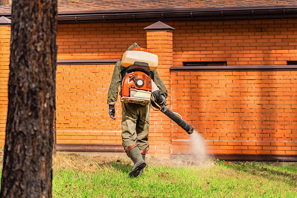 Trusted Cockroach Control service in Ladera Ranch, CA - Nex Pest Control